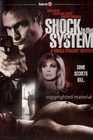 Donald Strachey Mystery 2 – Shock to the System