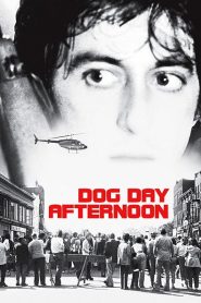 Um Dia de Cão (Dog Day Afternoon)