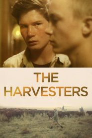 The Harvesters (Die Stropers)