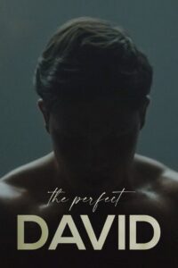 El Perfecto David (The Perfect David)