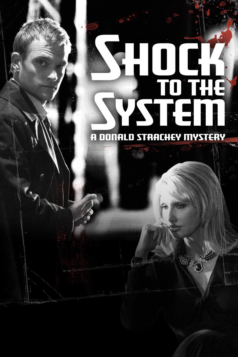 Donald Strachey Mystery 2 – Shock to the System