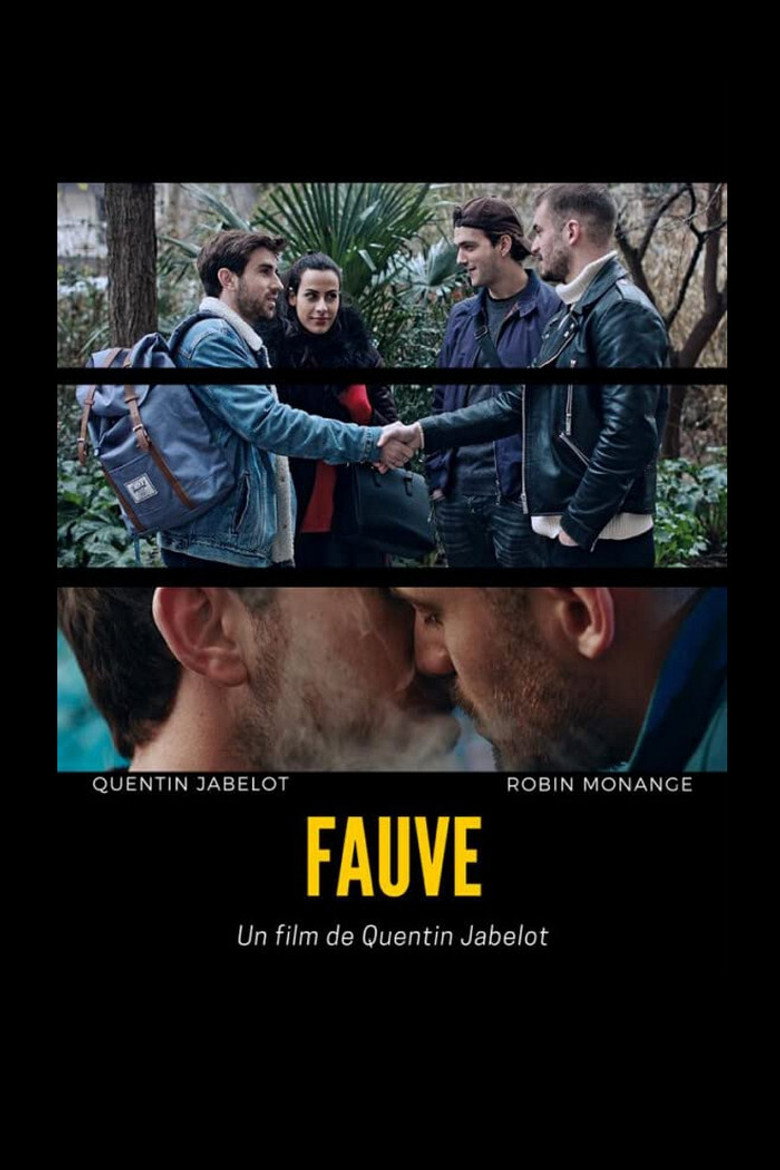 Wildcat (Fauve)
