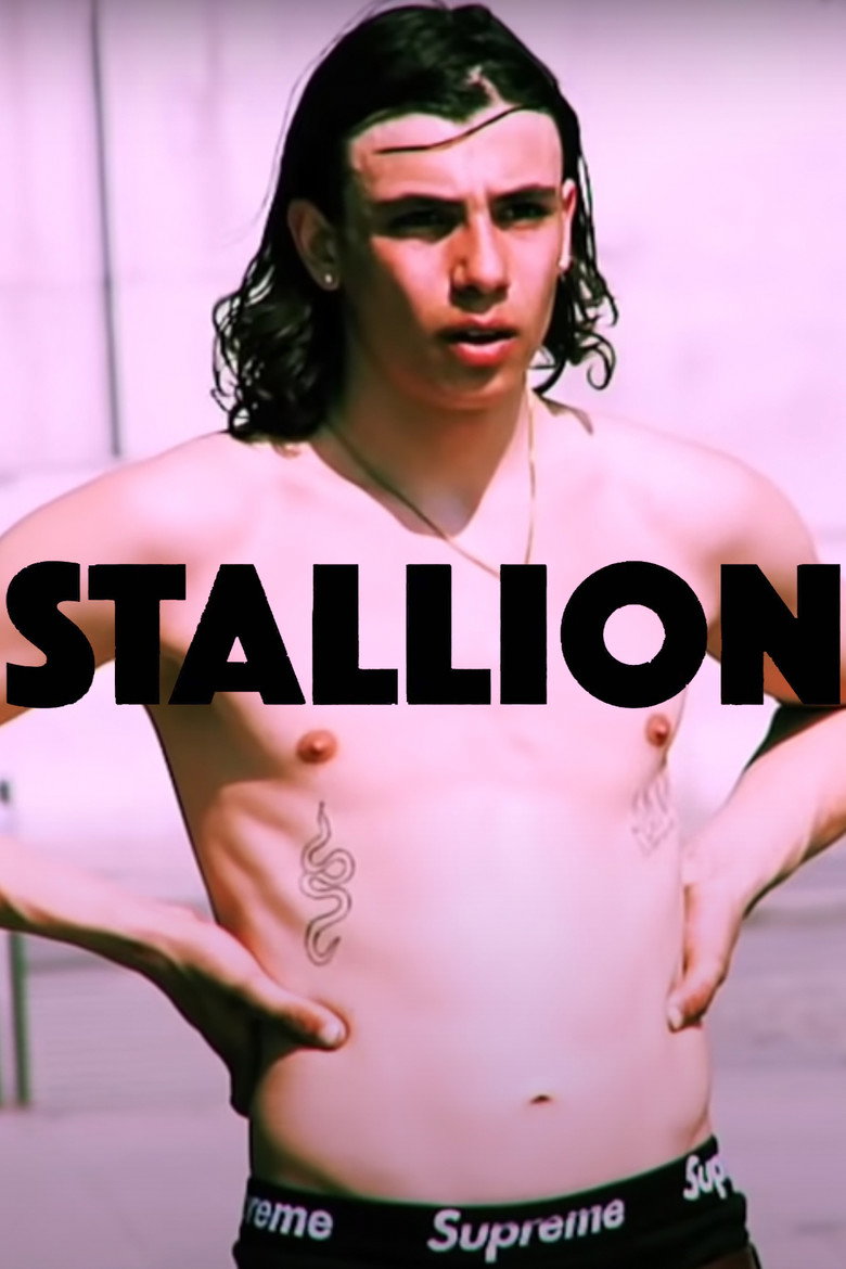 Stallion Airlines